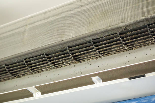 Best HVAC Duct Inspection Services  in Beechwood, MS